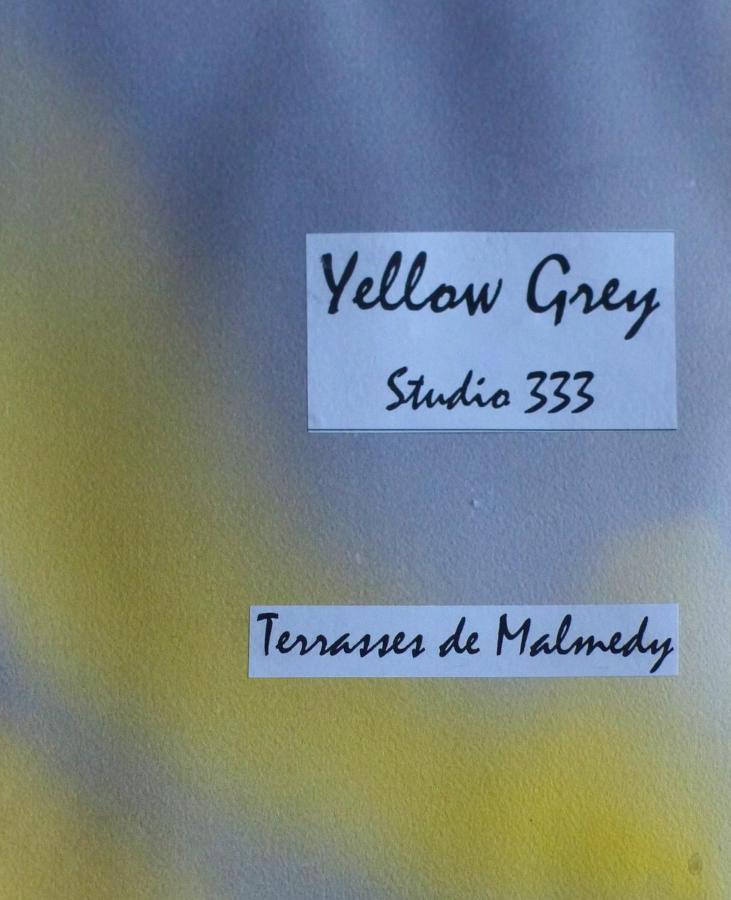 Les Terrasses De Malmedy Studio 333 Yellow Grey Exterior photo